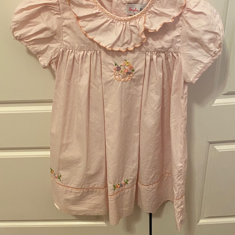 Sweet  Pink  Dress with Floral and pumpkin Embroidery